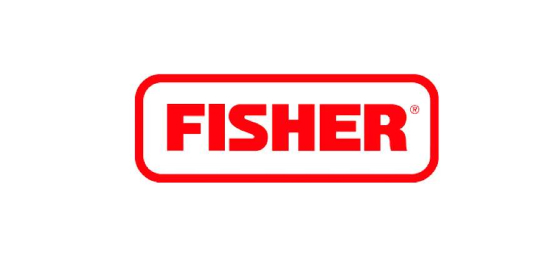 FI